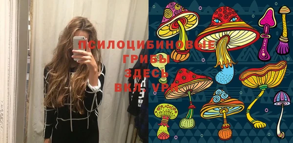 марки lsd Белокуриха