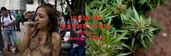 марки lsd Белокуриха